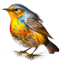 طيور و عصافير للبيع في نيوزيلندا : أفضل الأسعار