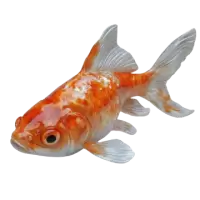 اسماك زينة وأحياء مائية للبيع في نيوزيلندا