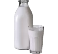 البان و اجبان فى نيوزيلندا