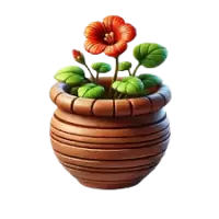 تنسيق حدائق فى نيوزيلندا