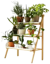 مشتل نباتات فى نيوزيلندا