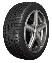 جنط مع كوشوك فى نيوزيلندا