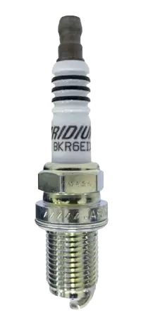 بواجي - مساحات - حمالات فى نيوزيلندا