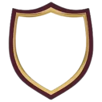 شعارات وهويات بصرية فى نيوزيلندا