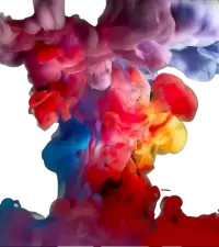 تصاميم إبداعية فى نيوزيلندا