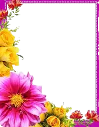 دعوات وتهنئة ومعايدات فى نيوزيلندا