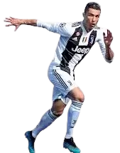 فيفا فى نيوزيلندا