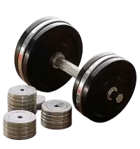 كمال الاجسام فى نيوزيلندا