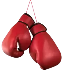 تجهيزات أخرى فى نيوزيلندا