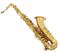 آلات نفخ موسيقية للبيع في نيوزيلندا