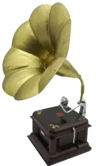 نثريات و نوادر فى نيوزيلندا